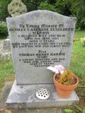 image number Htg6